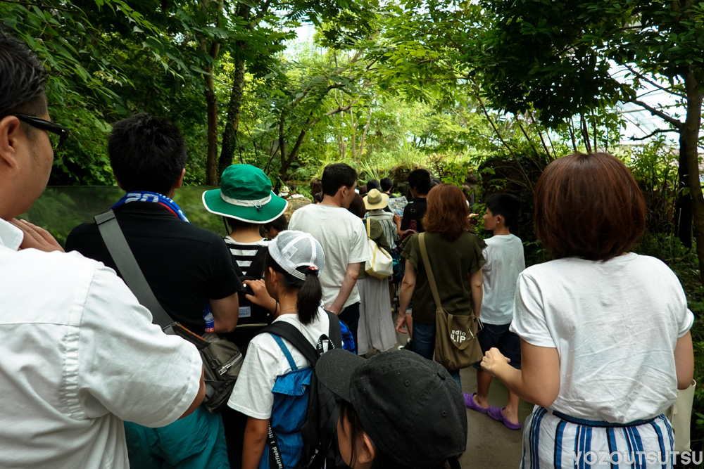 ふくしまの川と沿岸大混雑の図