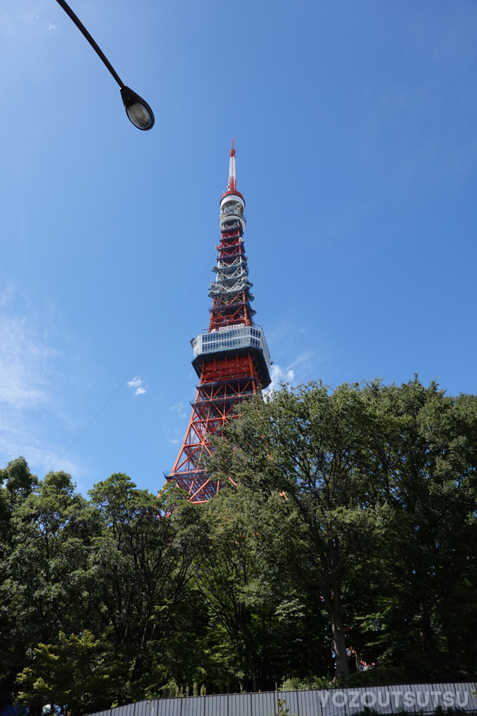 近づいた東京タワー