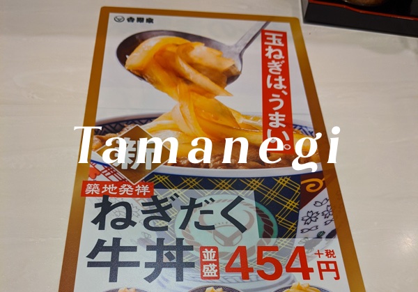 吉野家のねぎだく牛丼を食べてみた　ネギ好きにはおすすめ