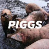 【PIGGS】プー・ルイのアイドルグループが遂に始動する…！