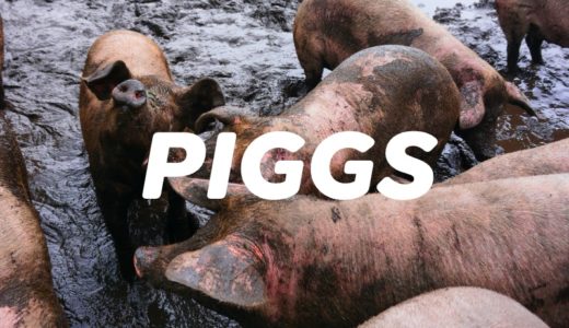 【PIGGS】プー・ルイのアイドルグループが遂に始動する…！