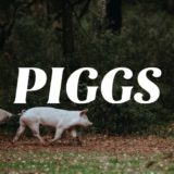 公開されたPIGGSの曲がかっこよいのでおすすめ