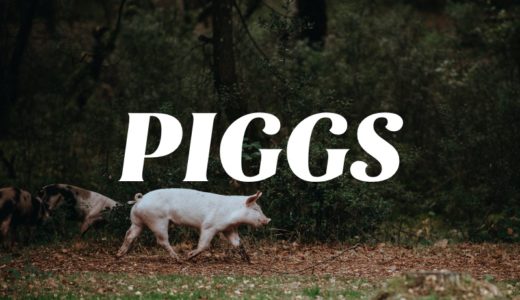 【I hate PIGGS】PIGGSの公開された曲とメンバーを要チェック【クラファンも！】