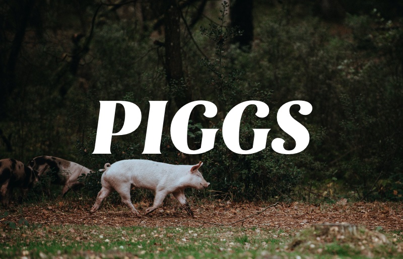 公開されたPIGGSの曲がかっこよいのでおすすめ