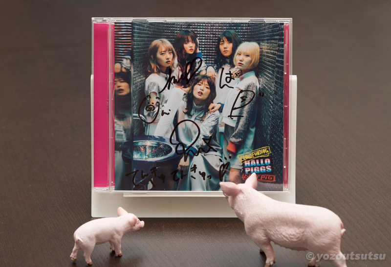 【Ryan.B】PIGGS「HALLO PIGGS」がおすすめすぎる1stアルバム【グラムロック】