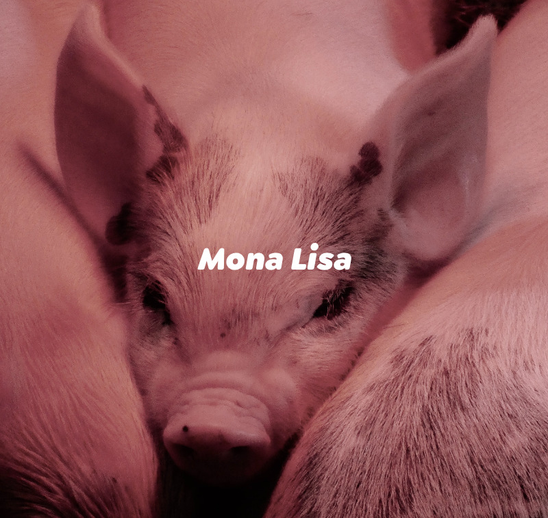 PIGGS モナ・リザのMVが公開された