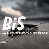 BiS「ANTi CONFORMiST SUPERSTAR」がおすすめ