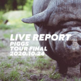 PIGGSはじめましてPIGGSですツアーファイナル【ライブレポート】