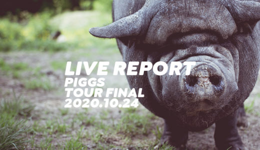 PIGGSはじめましてPIGGSですツアーファイナル【ライブレポート】