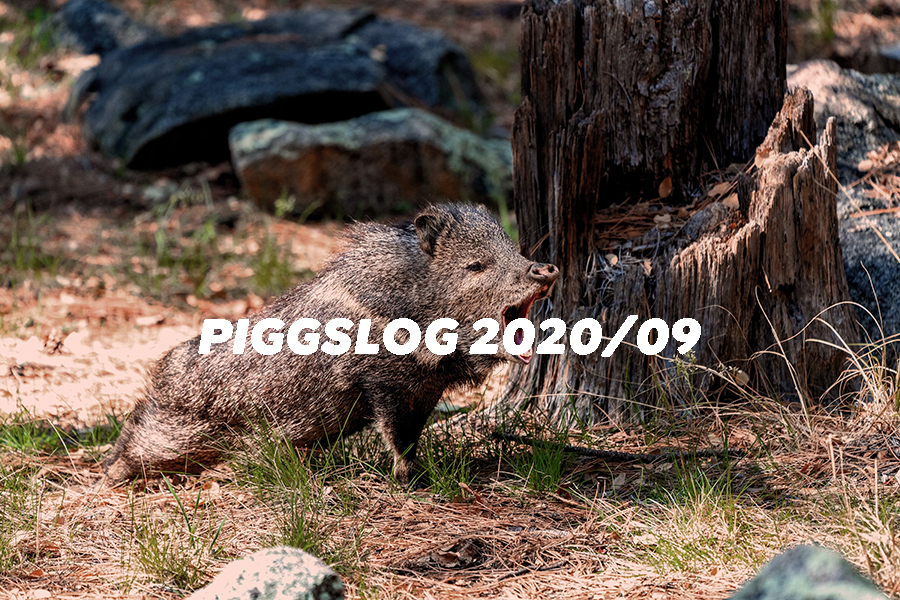 PIGGSネット記事まとめ2020年9月【PIGGS LOG】株式会社プープーランド