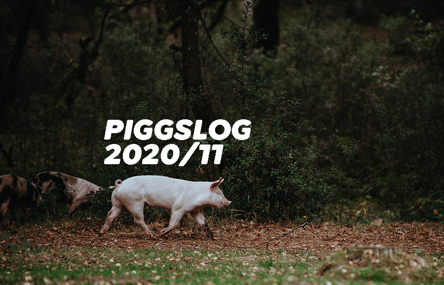 PIGGSネット記事まとめ2020年11月【PIGGS LOG】株式会社プープーランド