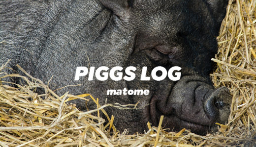 PIGGSの活動を月ごとに振り返る【インタビュー・対談・ネットニュースなどのまとめ】PIGGS LOG