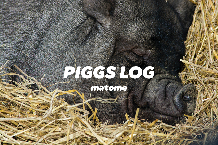 PIGGSネット記事・インタビュー・対談まとめ2020年8月【PIGGS LOG】株式会社プープーランド