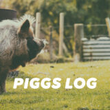 【PIGGS LOG】2021年7月のPIGGSの活動を振り返る【ツイート・ネットニュースまとめ】