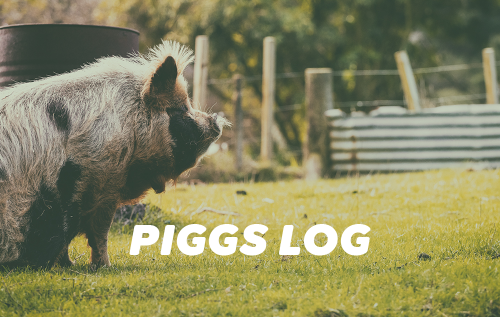 2021年のPIGGSの活動・メディア掲載